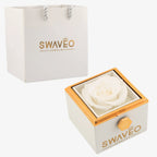 Tied With Love Promise Ring